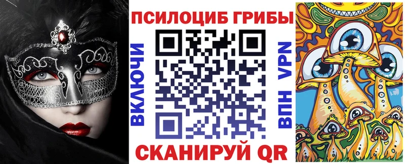 Купить закладки  Нолинск  Псилоцибиновые грибы MAGIC MUSHROOMS 